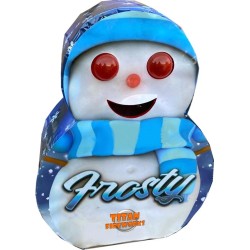 SPETTACOLINO PUPAZZO DI NEVE                              18